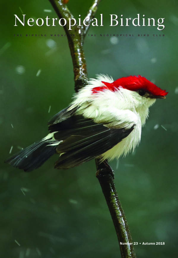 Neotropical Birding 23 Autumn 2018