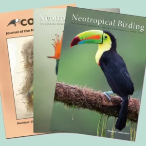 Magazine Combo Bundle for 2023, 2024, 2025