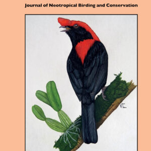 Cotinga Issue 44 - 2022
