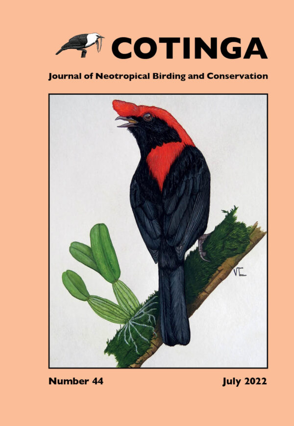 Cotinga Issue 44 - 2022