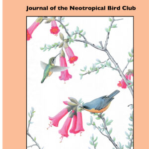 Cotinga Issue 43 - 2021