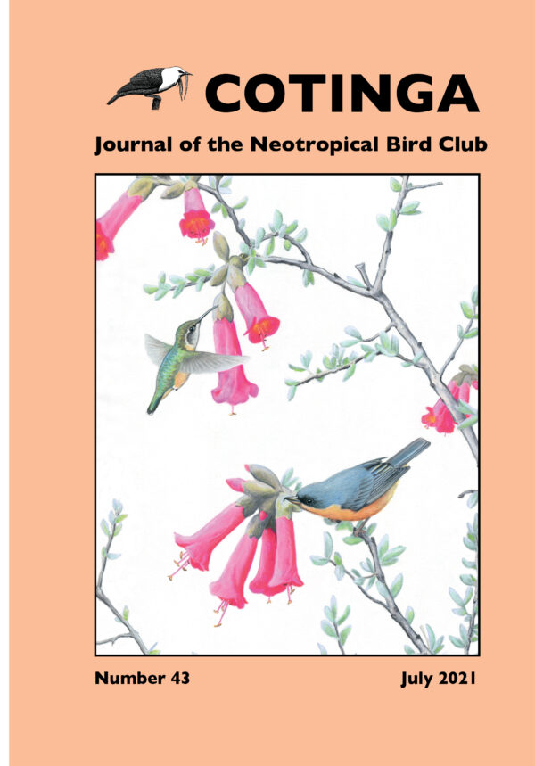 Cotinga Issue 43 - 2021